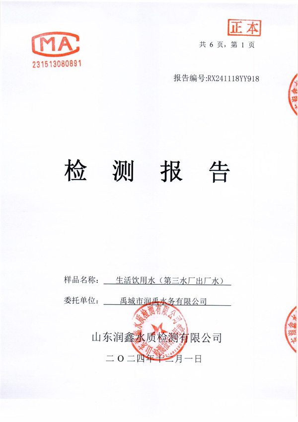 RX241118YY918 三厂出水检测报告-1.jpg