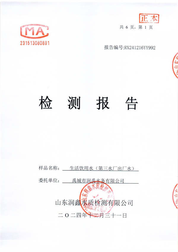 RX241216YY992 三厂出水检测报告-1.jpg