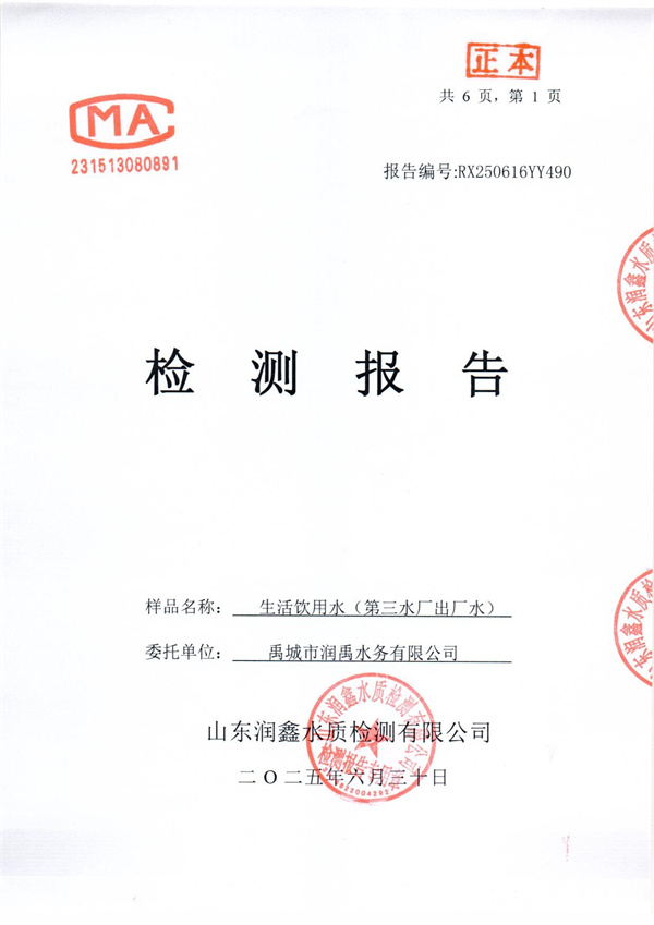 RX250616YY490 三厂出水检测报告-1.jpg